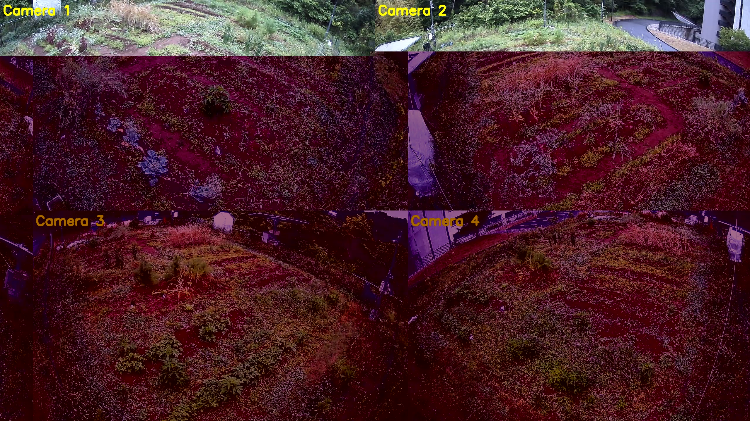 Live camera (updating every 2min.)