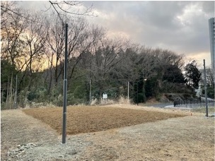 Poles